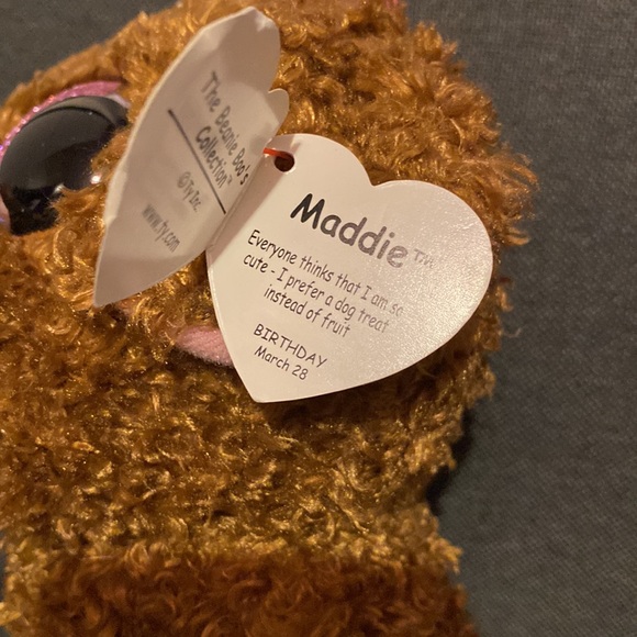 🔥Today only sale💥Ty Beanie Boos Plush Roxie the Raccoon& Maddie the Poddle 9" - Picture 5 of 9